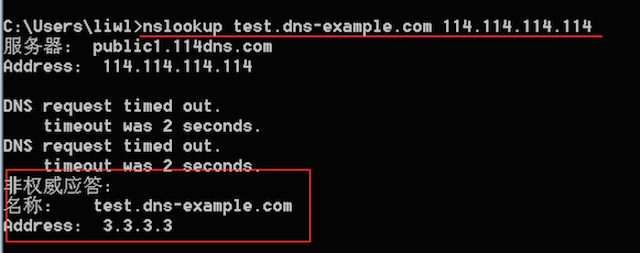 谷歌DNS的使用指南，如何验证合法性及注意事项插图