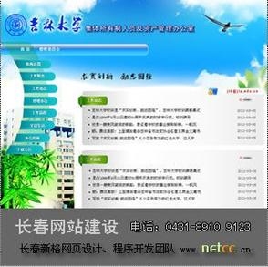吉林市做网站，打造专业网站，助力城市发展插图