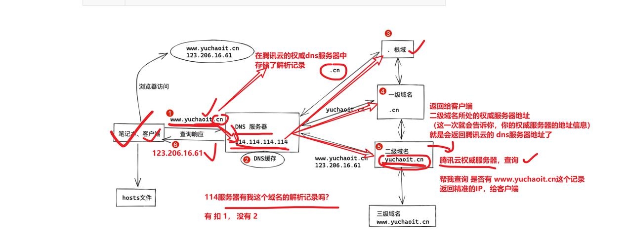 域名采用什么结构（域名采取什么结构）插图