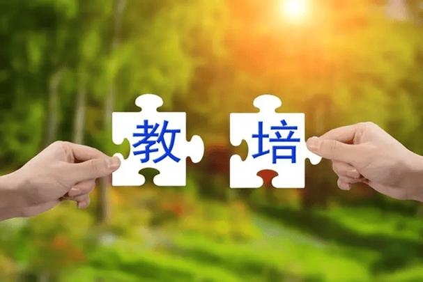 掌门一对一现状,适应双减政策,持续运营还是转型?插图 掌门一对一现状,适应双减政策,持续运营还是转型?插图