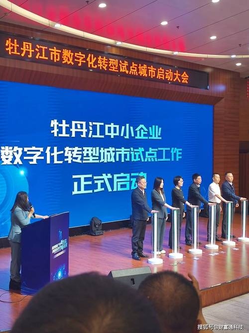 牡丹江网络公司，引领数字化浪潮的先锋力量插图