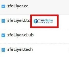 CN域名隐私保护的重要性及其措施插图