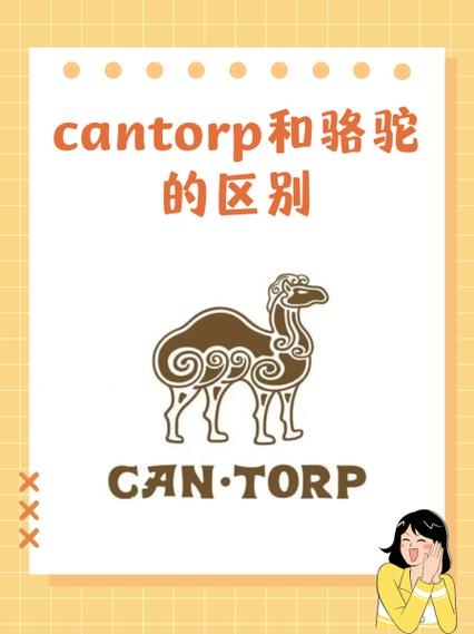 Raksmart图标,设计与意义插图 Raksmart图标,设计与意义插图