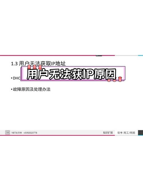 DHCP无法获取IP地址问题解析插图