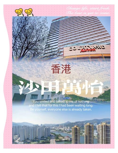 香港沙田酒店预订攻略及周边购物推荐插图