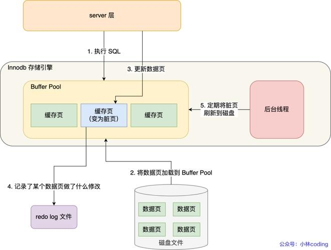 MySQL数据库配置文件的位置详解插图