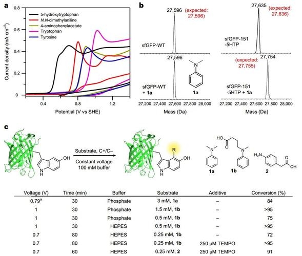 SEO2与KI反应的化学研究插图