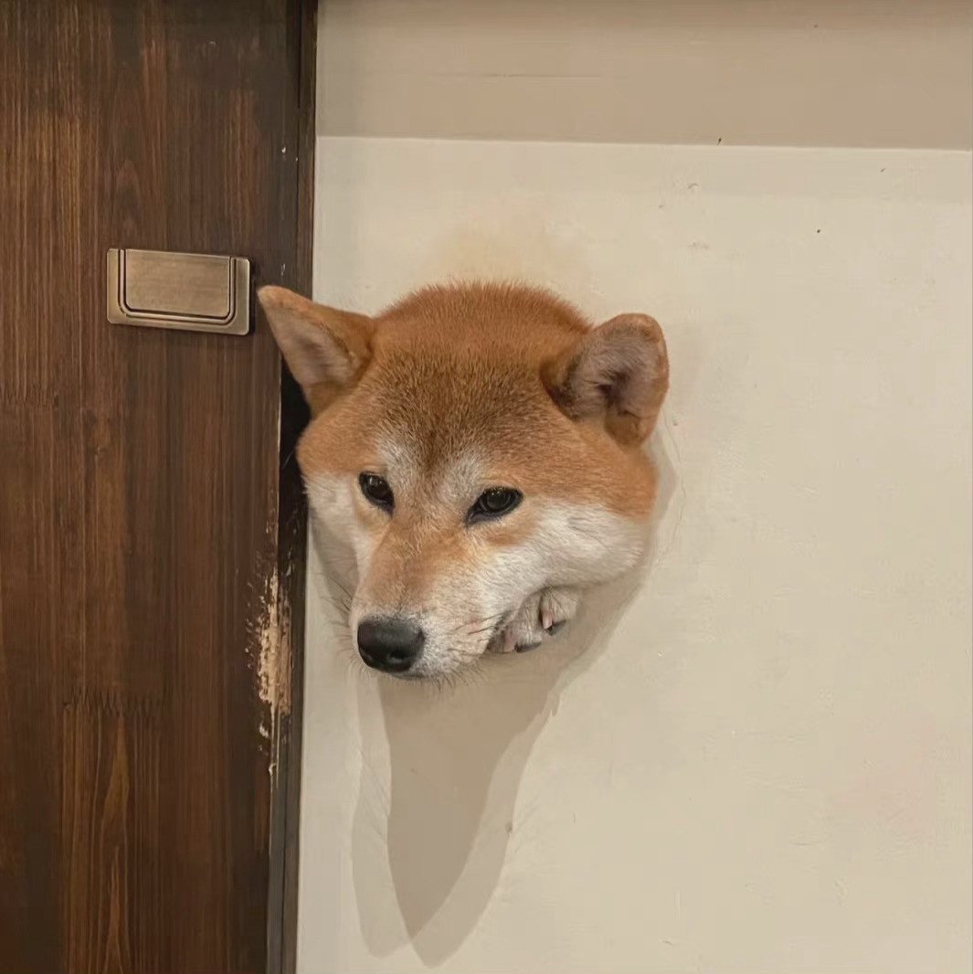 PHP中文网在线教学，开启编程之旅的钥匙插图