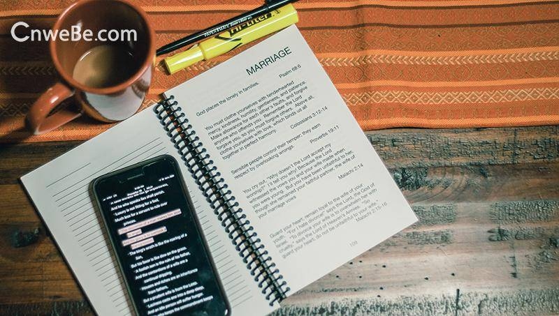 搜索引擎的网站内部优化不包括哪些方面插图