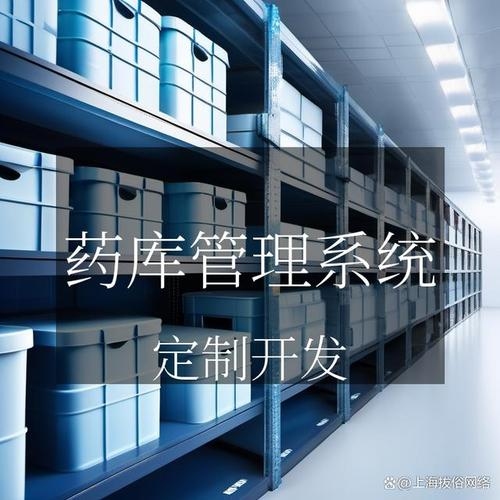 药品出入库管理系统，提升药品管理效率的关键插图
