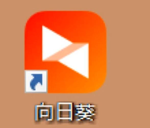 站长统计与向日葵app下载，便捷的网址进入策略插图