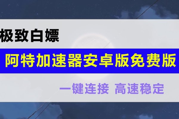 阿特加速器安全性解析，保障隐私，提升网络体验-猫山树