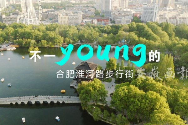 安徽搜索排名网站，引领地方互联网发展的先锋力量-猫山树