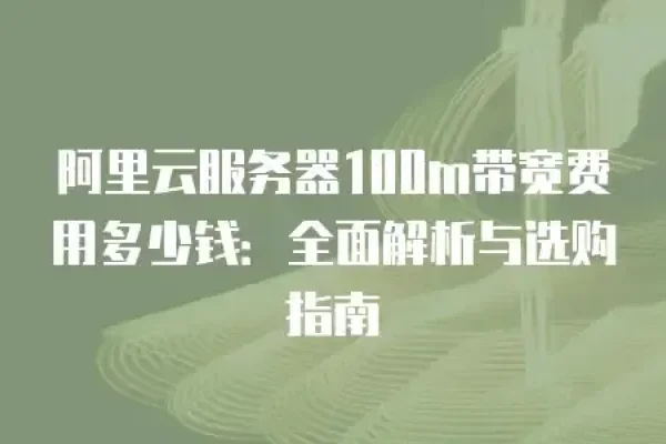 阿里云100M带宽价格解析-猫山树