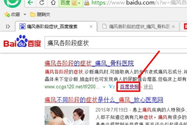 必应快照查看指南，如何快速恢复已删除网页内容？-猫山树