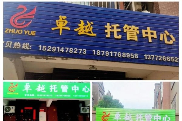 长沙网站托管公司，专业服务与卓越成果-猫山树