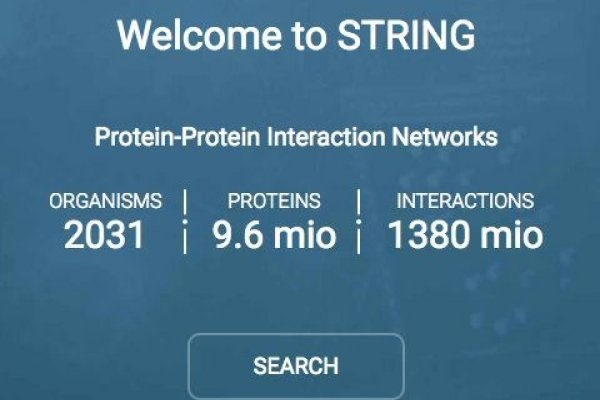 蛋白相互作用预测网站的分析与应用-猫山树