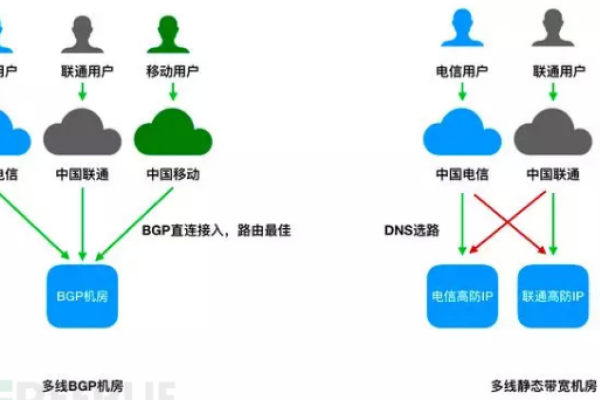 电信最佳DNS推荐-猫山树