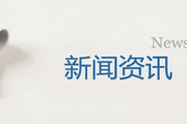 佛山网页设计与外贸网站建设价格解析-猫山树