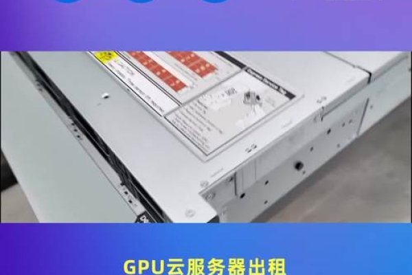 服务器租用,最具影响力的选择-猫山树