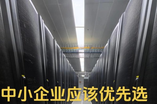 服务器托管福州选择-猫山树