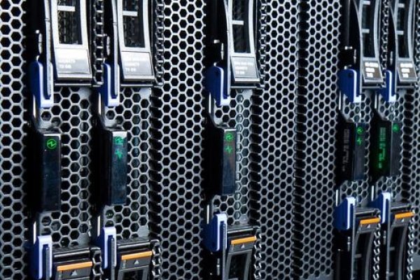 国外服务器推荐-猫山树