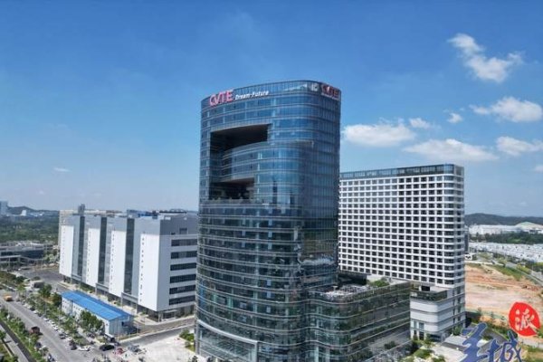 广州服务器公司的蓬勃发展-猫山树