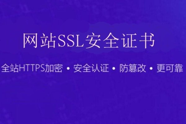 关于如何建立网站及SSL证书的相关指南与解答。-猫山树