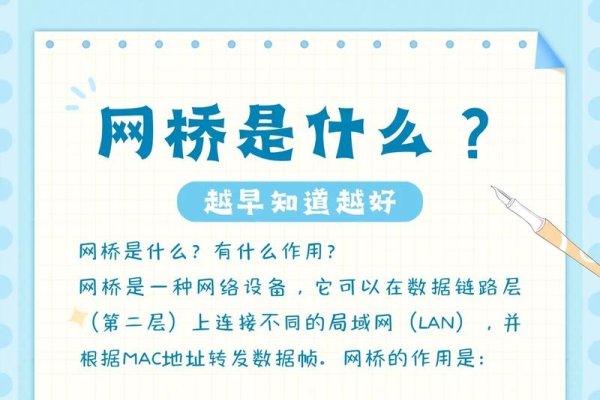 互联网项目免费分享网站，连接知识与创新的桥梁-猫山树