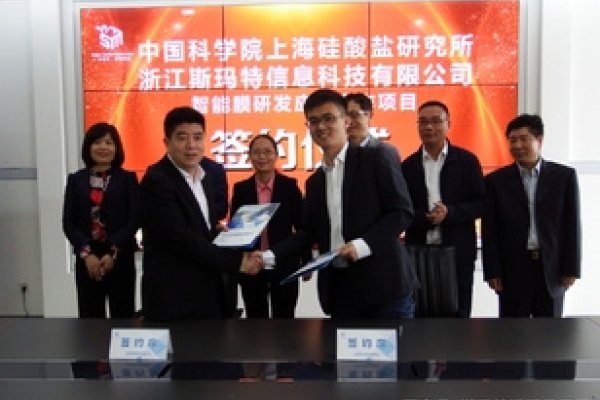 互联网域名租赁，开启数字时代的新篇章-猫山树