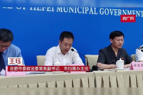 合肥发改委扫黑除恶专项斗争实施意见讨论稿发布-猫山树