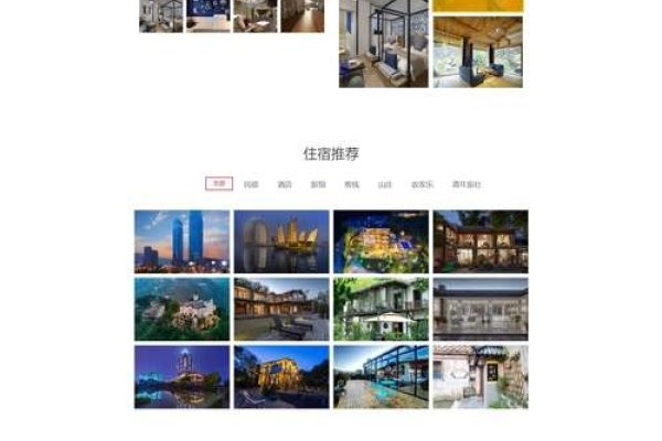 湖州网站建设与优化案例分析-猫山树