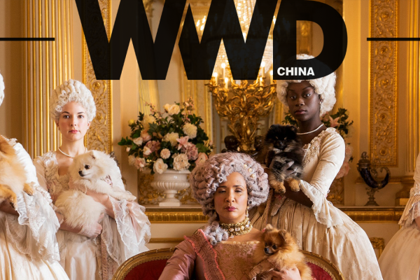 婚纱搜索关键词热度，洞察时尚趋势与市场动态-猫山树