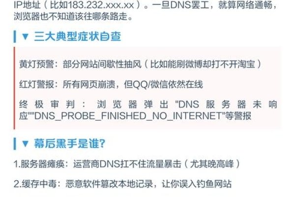 解决首选DNS服务器异常的方法与策略-猫山树