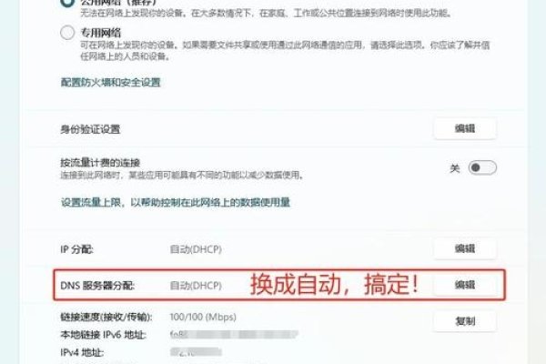 解决DNS无法访问，原因与解决方法-猫山树