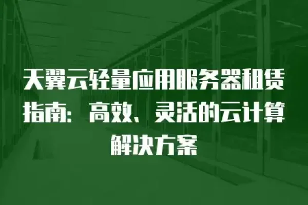 建站必备，服务器租赁指南-猫山树