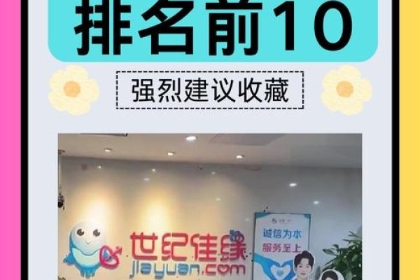 可靠的婚恋网站排行榜及选择指南-猫山树