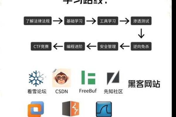 全球黑客技术实力对比，多国竞相发展-猫山树