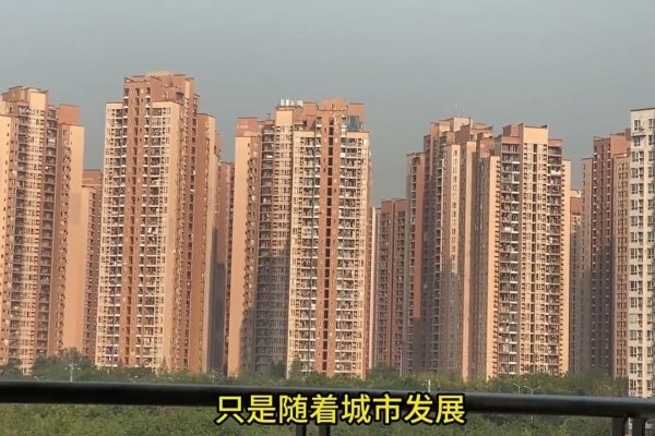 全新重庆服务器租用，开启高效、稳定的业务新篇章-猫山树