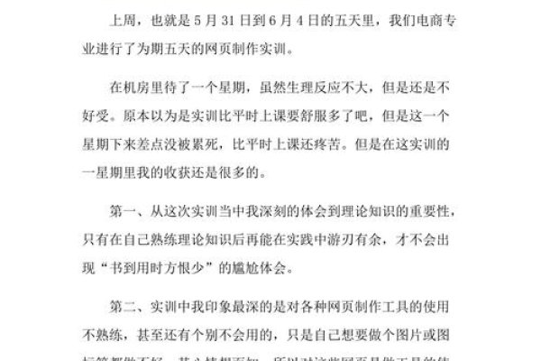 企业网站实训总结,经验、挑战与未来展望-方知甜