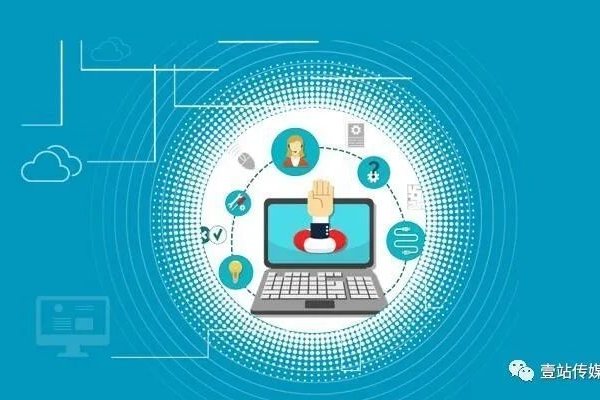 企业网站建设，高端手机端综合解决方案-猫山树