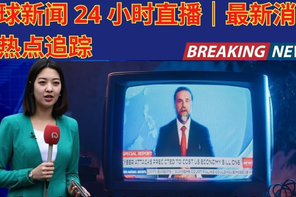 上海最新新闻直播，城市脉搏的实时记录-猫山树