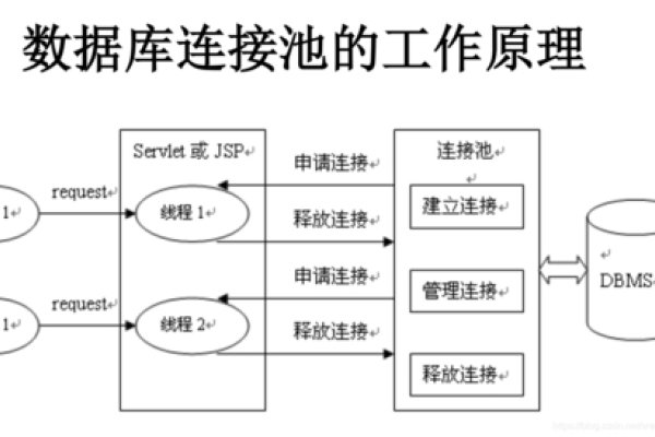 数据库连接问题解决方案-猫山树