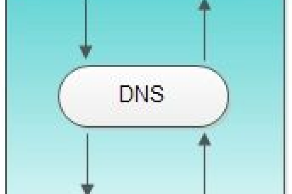 深入了解DNS解析过程，一步步查看DNS如何工作-猫山树