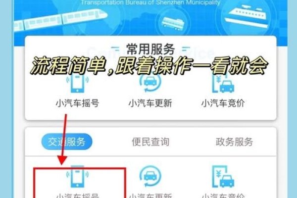 深圳车牌摇号申请网站，便捷、透明的车牌获取新途径-猫山树