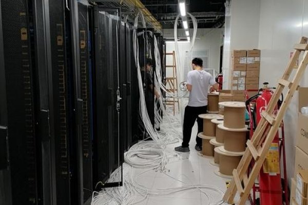 深圳服务器的发展与影响-猫山树