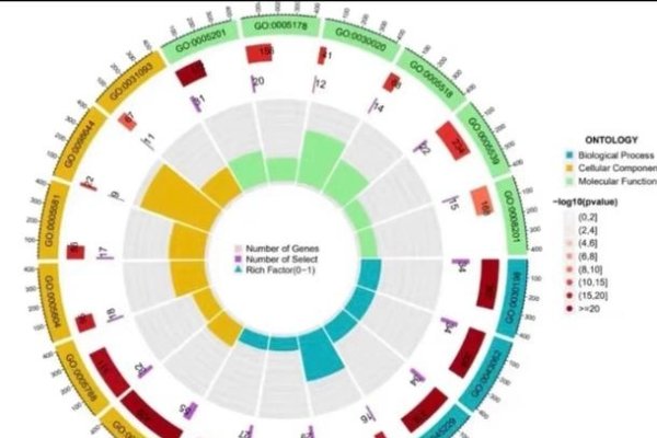 生信分析为何离不开服务器的支持？-猫山树