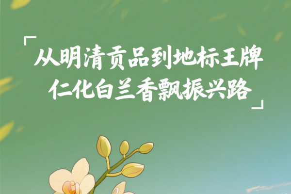 深圳网站设计的新篇章，成功柚米的创新之路-猫山树