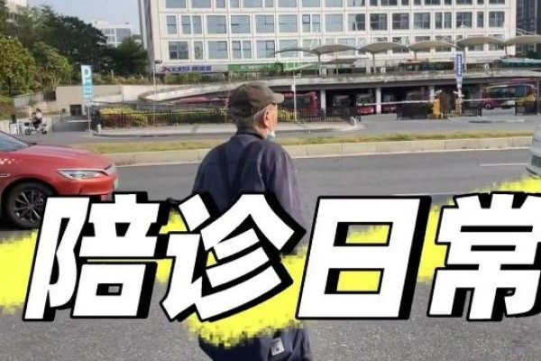 深夜独处，B站直播成慰藉，一个人的夜晚与B站直播的奇妙之旅-猫山树