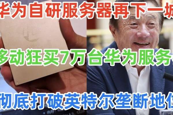 台湾8公里服务器，关键技术与运营的深度解析-猫山树